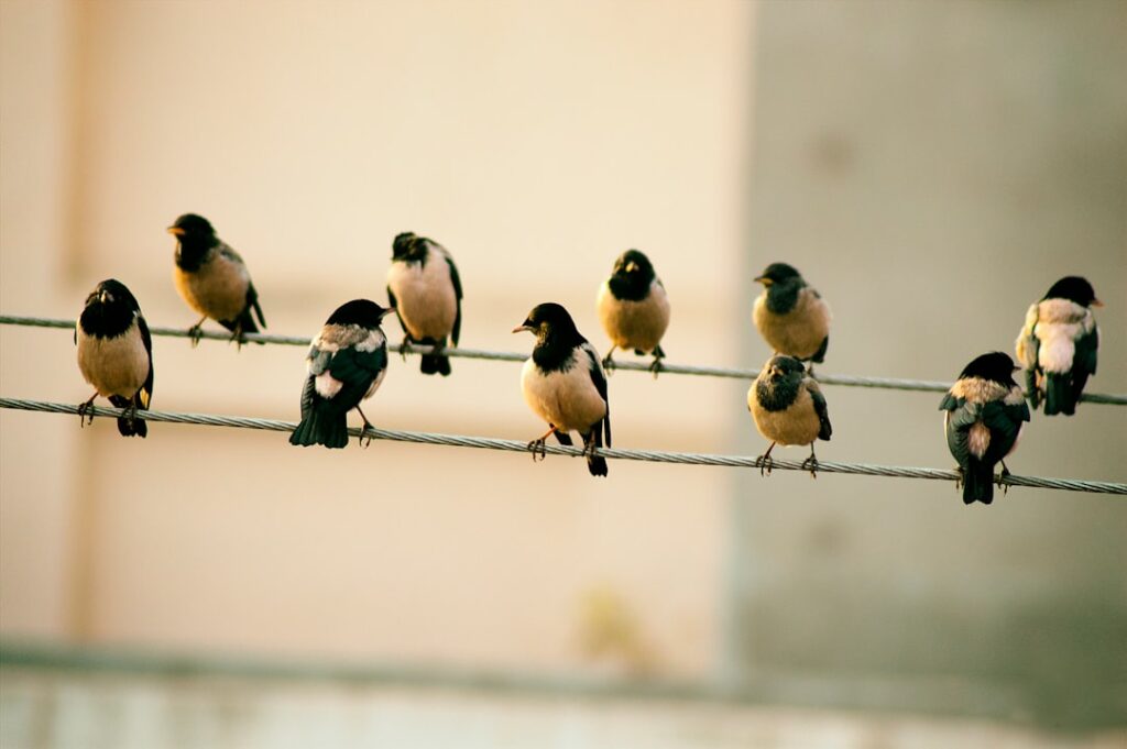 Photo Unemployment line